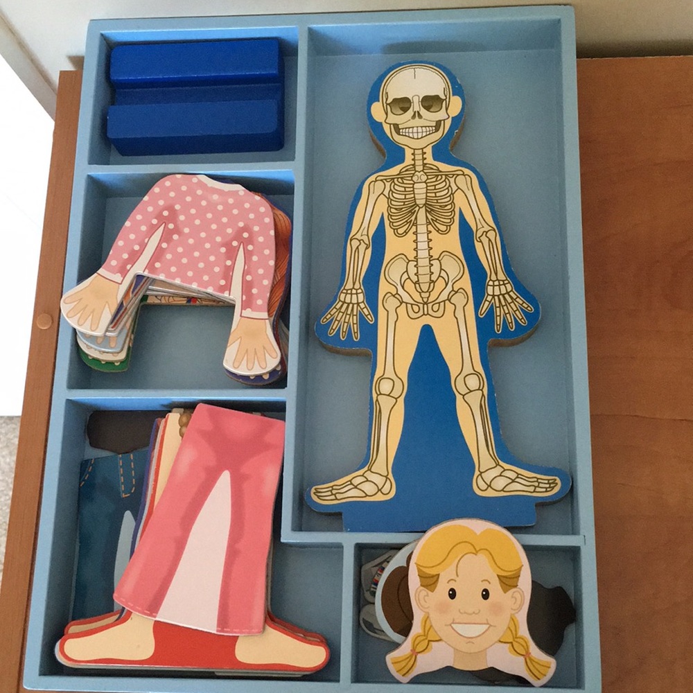 Magnetic human body playset